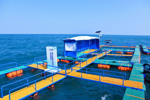 国内最大开放性海水提铀海试平台,投用